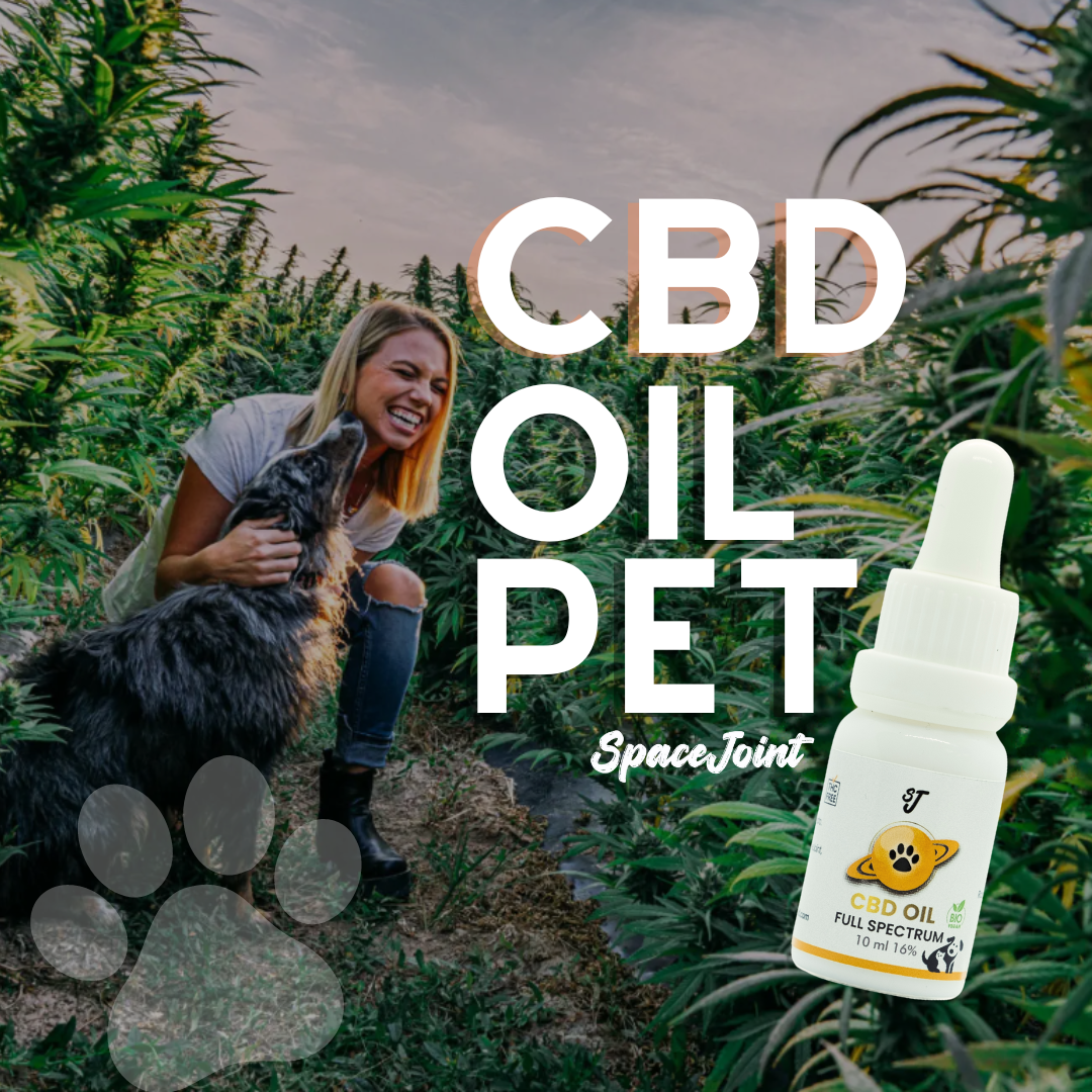 Olio PETS 16% CBD