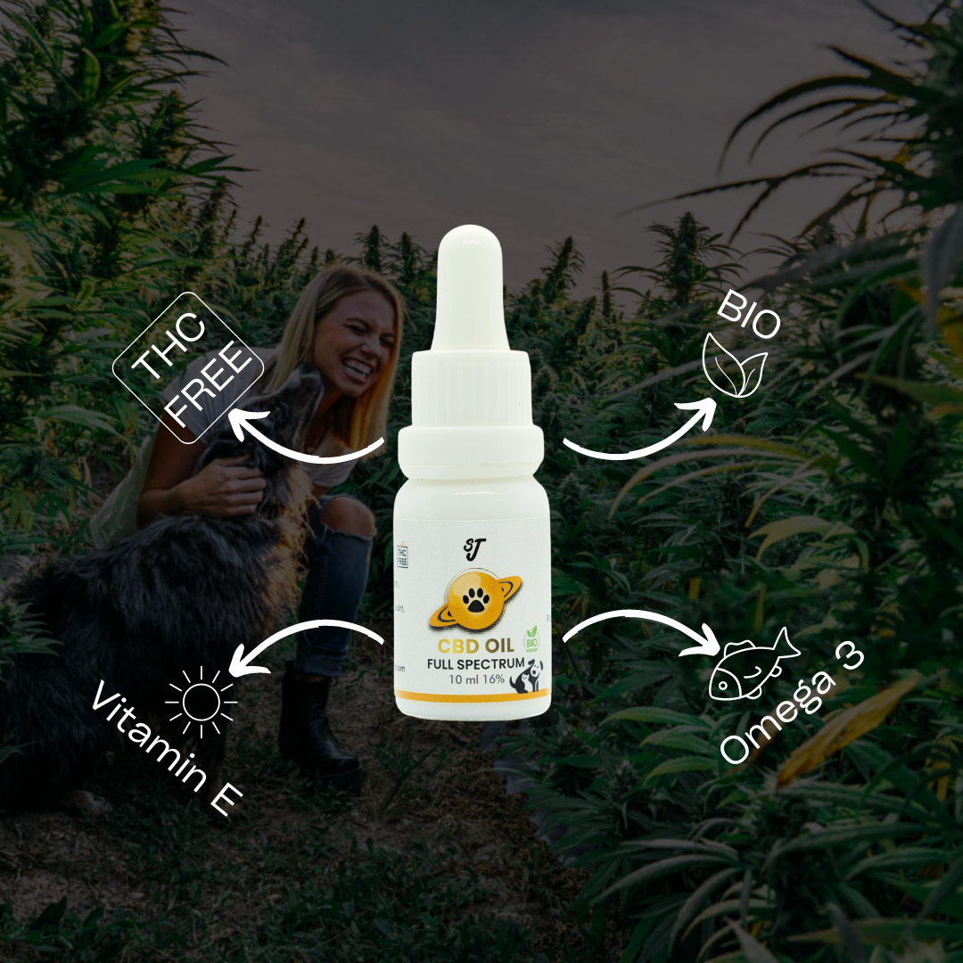 Olio PETS 16% CBD